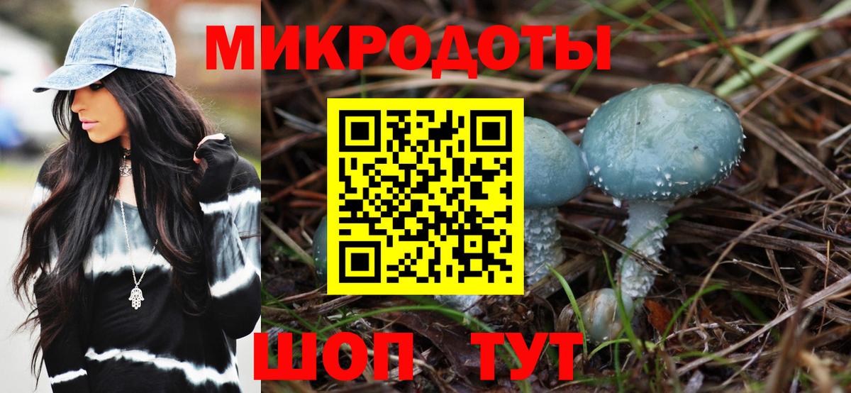 Дзержинский  Галлюциногенные грибы прущие грибы  Вход с VPN 