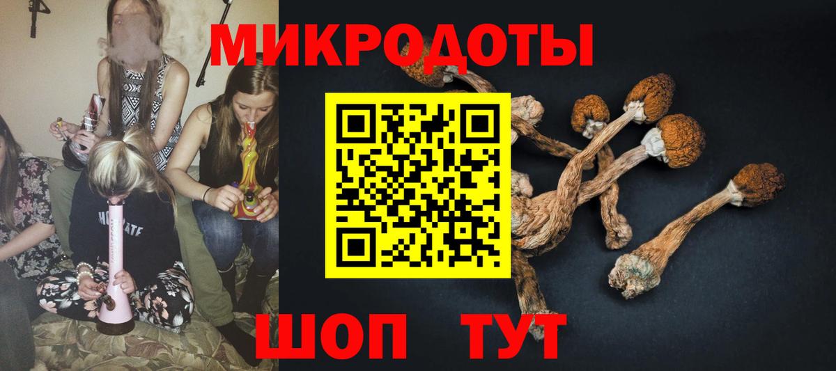 Псилоцибиновые грибы мицелий Дзержинский